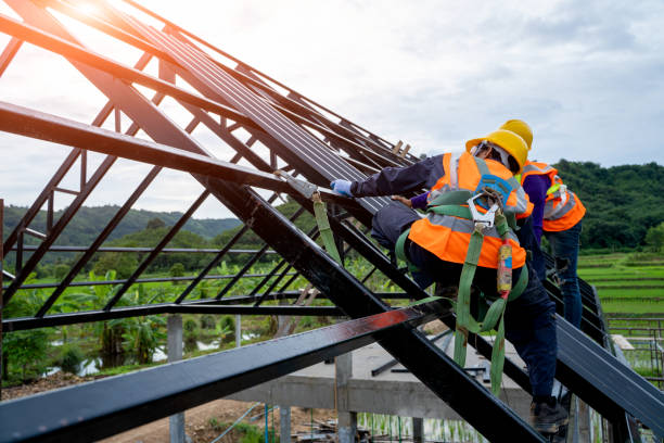 Best Local Roofing Companies  in Lexington, TX