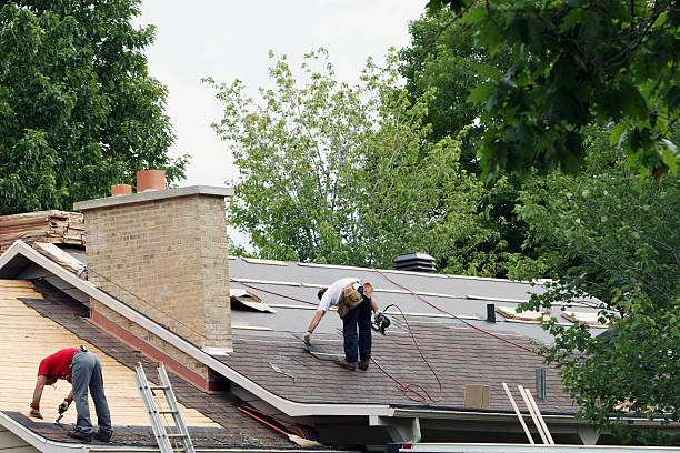 Best Roof Gutter Cleaning  in Lexington, TX