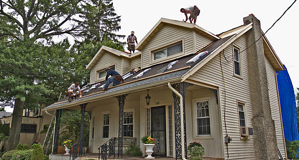 Best Shingle Roofing Installation  in Lexington, TX